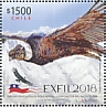 Andean Condor Vultur gryphus  2018 Exfil 2018  MS