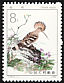 Eurasian Hoopoe Upupa epops  1982 Birds 