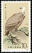 Himalayan Vulture Gyps himalayensis  1987 Birds of prey 