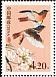 Przevalski's Redstart Phoenicurus alaschanicus  2002 Chinese birds 