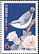 Yunnan Nuthatch Sitta yunnanensis  2004 Chinese birds 