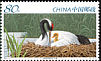 Red-crowned Crane Grus japonensis