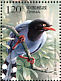 Taiwan Blue Magpie Urocissa caerulea  2008 Birds Sheet
