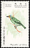 Taiwan Barbet Psilopogon nuchalis  1967 Taiwan birds 