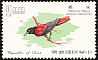Maroon Oriole Oriolus traillii  1967 Taiwan birds 