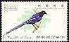 Taiwan Blue Magpie Urocissa caerulea  1967 Taiwan birds 