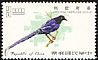 Taiwan Blue Magpie Urocissa caerulea