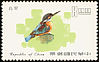 Common Kingfisher Alcedo atthis  1977 Taiwan birds 