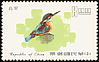 Common Kingfisher Alcedo atthis