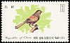 Steere's Liocichla Liocichla steerii  1979 Taiwan birds 