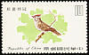 Taiwan Yuhina Yuhina brunneiceps