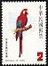 Red-and-green Macaw Ara chloropterus