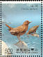 Brown Dipper Cinclus pallasii  1991 Taiwan stream birds Sheet