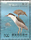 Black-crowned Night Heron Nycticorax nycticorax  1991 Taiwan stream birds Sheet