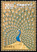 Indian Peafowl Pavo cristatus  1991 Peacocks paintings 