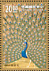 Indian Peafowl Pavo cristatus  1991 Peacocks paintings  MS