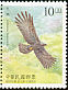 Black Eagle Ictinaetus malaiensis  1998 Conservation of birds 