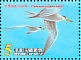 Chinese Crested Tern Thalasseus bernsteini  2002 Chinese Crested Tern Sheet