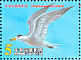 Chinese Crested Tern Thalasseus bernsteini  2002 Chinese Crested Tern Sheet