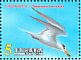 Chinese Crested Tern Thalasseus bernsteini  2002 Chinese Crested Tern Sheet