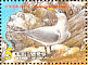 Chinese Crested Tern Thalasseus bernsteini  2002 Chinese Crested Tern Sheet