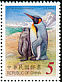 King Penguin Aptenodytes patagonicus  2006 King Penguin 