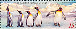 King Penguin Aptenodytes patagonicus  2006 King Penguin  MS