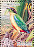 Fairy Pitta Pitta nympha  2006 Conservation of birds Sheet, no frames