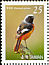 Daurian Redstart Phoenicurus auroreus