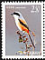 Long-tailed Shrike Lanius schach  2008 Birds 