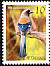 Grey Treepie Dendrocitta formosae  2008 Birds 