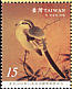 Chinese Grey Shrike Lanius sphenocercus