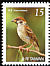 Eurasian Tree Sparrow Passer montanus  2008 Birds 