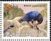 Taiwan Blue Magpie Urocissa caerulea  2008 Taiwan Blue Magpie White frames