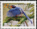 Taiwan Blue Magpie Urocissa caerulea  2008 Taiwan Blue Magpie White frames