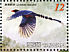 Taiwan Blue Magpie Urocissa caerulea