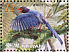 Taiwan Blue Magpie Urocissa caerulea  2008 Taiwan Blue Magpie Sheet, no frames