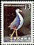 White-breasted Waterhen Amaurornis phoenicurus  2009 Birds 