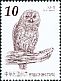 Tawny Owl Strix aluco