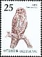 Northern Boobook Ninox japonica  2012 Owls of Taiwan 