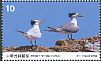 Chinese Crested Tern Thalasseus bernsteini  2017 Taiwan scenery 4v set