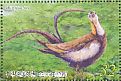 Pheasant-tailed Jacana Hydrophasianus chirurgus  2017 Conservation of birds  MS