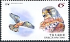 Common Kestrel Falco tinnunculus