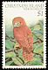 Christmas Boobook Ninox natalis  1983 Birds definitives 