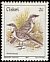 Cape Wagtail Motacilla capensis  1981 Birds 