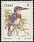 Giant Kingfisher Megaceryle maxima  1981 Birds 
