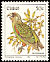 Cape Parrot Poicephalus robustus  1981 Birds 