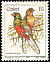 Narina Trogon Apaloderma narina  1981 Birds 