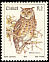Cape Eagle-Owl Bubo capensis  1981 Birds 