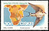 Greater Striped Swallow Cecropis cucullata  1984 Migratory birds 